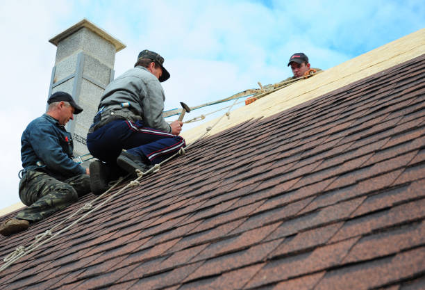 Best Roof Gutter Cleaning  in Black Creek, WI