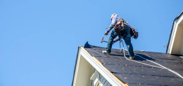 Best Shingle Roofing Installation  in Black Creek, WI
